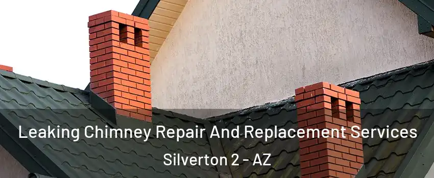 Leaking Chimney Repair And Replacement Services Silverton 2 - AZ