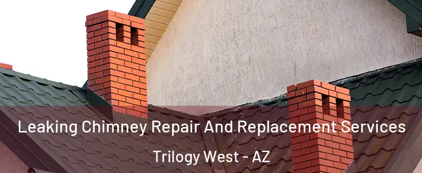 Leaking Chimney Repair And Replacement Services Trilogy West - AZ
