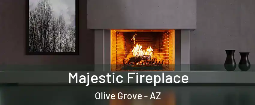 Majestic Fireplace Olive Grove - AZ