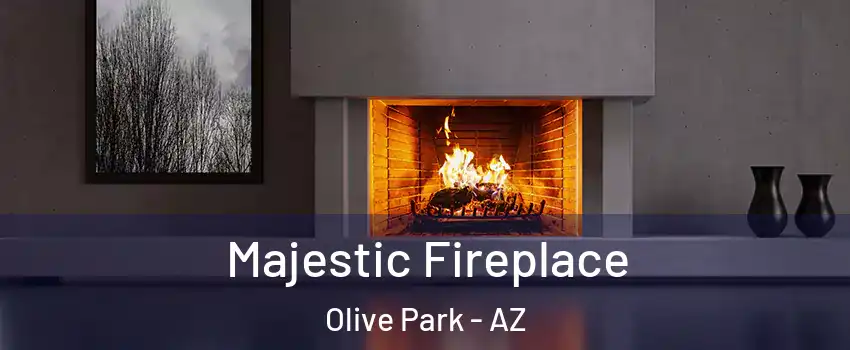 Majestic Fireplace Olive Park - AZ