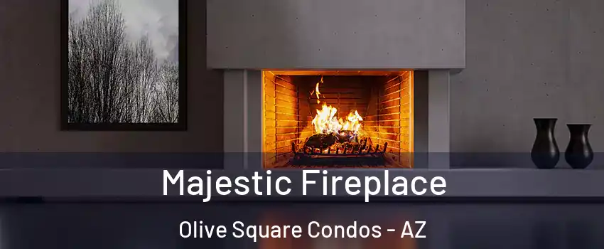 Majestic Fireplace Olive Square Condos - AZ