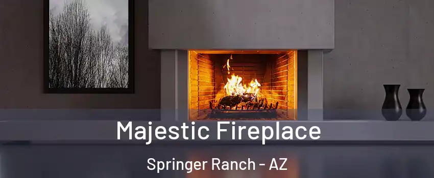 Majestic Fireplace Springer Ranch - AZ