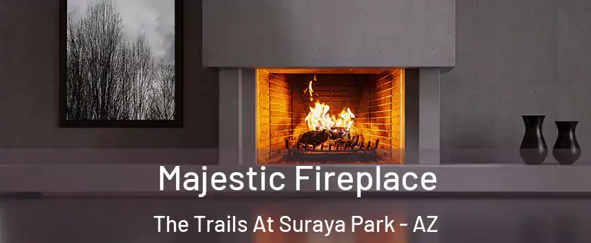 Majestic Fireplace The Trails At Suraya Park - AZ