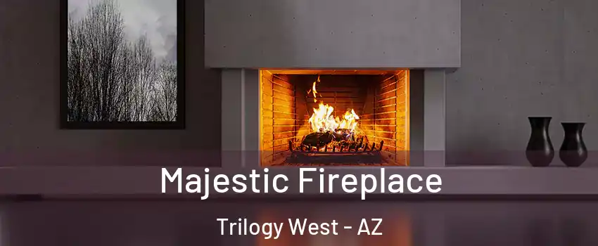 Majestic Fireplace Trilogy West - AZ