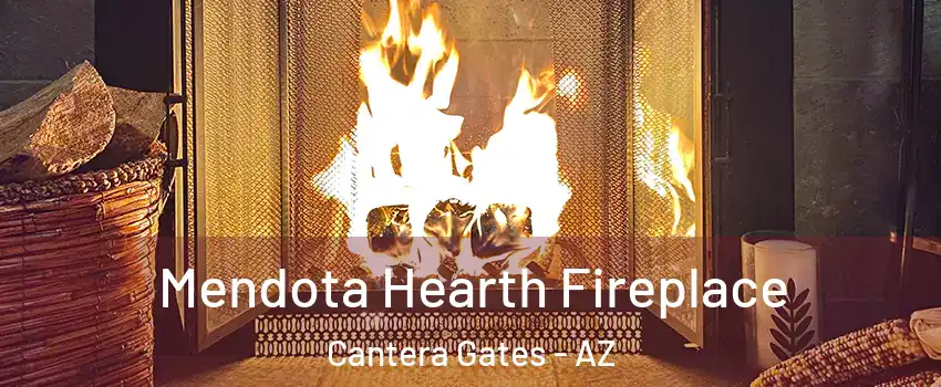 Mendota Hearth Fireplace Cantera Gates - AZ