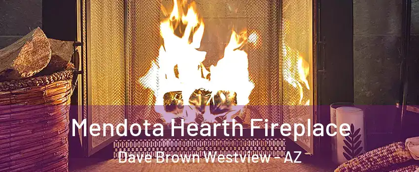 Mendota Hearth Fireplace Dave Brown Westview - AZ