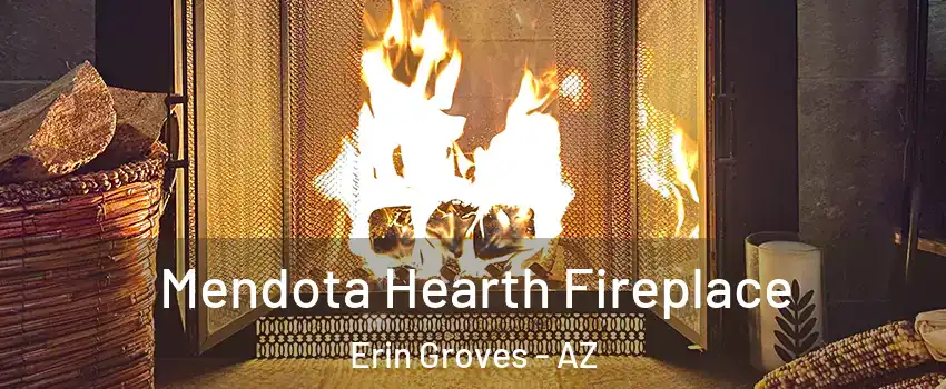 Mendota Hearth Fireplace Erin Groves - AZ