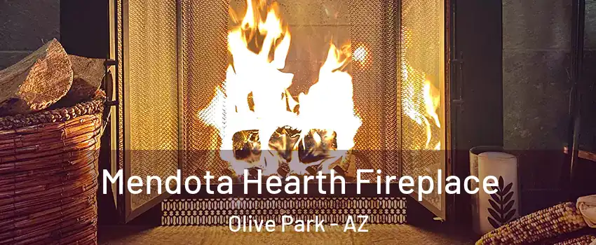 Mendota Hearth Fireplace Olive Park - AZ