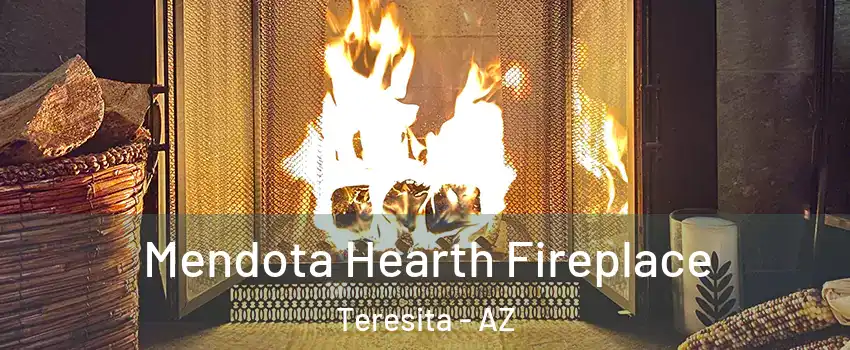 Mendota Hearth Fireplace Teresita - AZ
