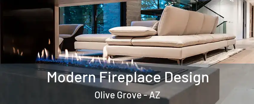 Modern Fireplace Design Olive Grove - AZ