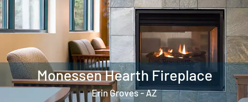 Monessen Hearth Fireplace Erin Groves - AZ