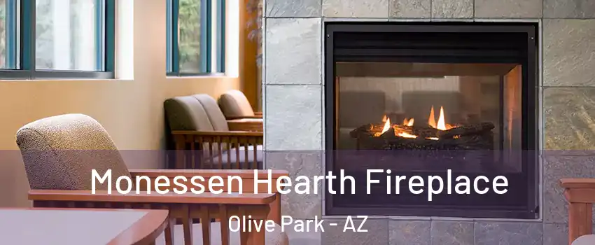 Monessen Hearth Fireplace Olive Park - AZ