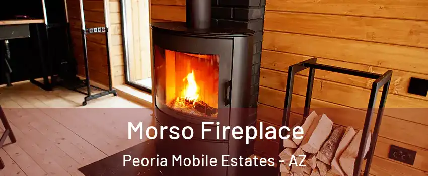 Morso Fireplace Peoria Mobile Estates - AZ