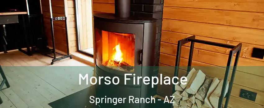 Morso Fireplace Springer Ranch - AZ