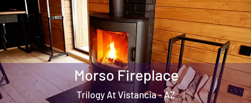 Morso Fireplace Trilogy At Vistancia - AZ