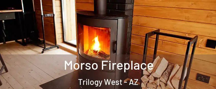 Morso Fireplace Trilogy West - AZ