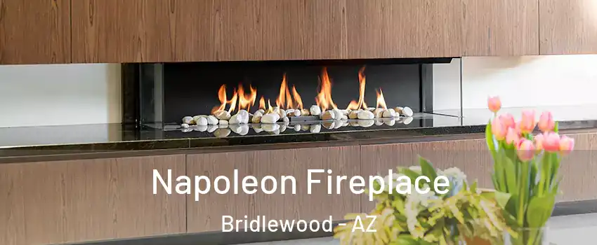Napoleon Fireplace Bridlewood - AZ