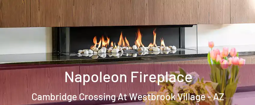 Napoleon Fireplace Cambridge Crossing At Westbrook Village - AZ