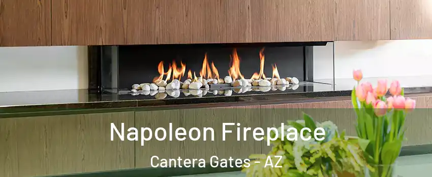 Napoleon Fireplace Cantera Gates - AZ