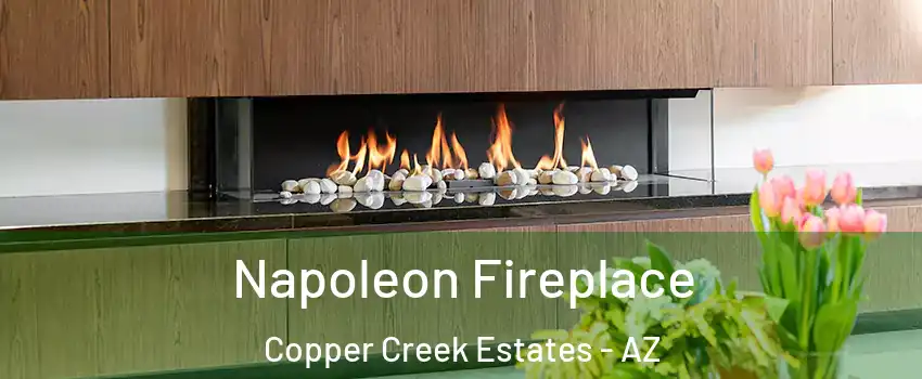 Napoleon Fireplace Copper Creek Estates - AZ