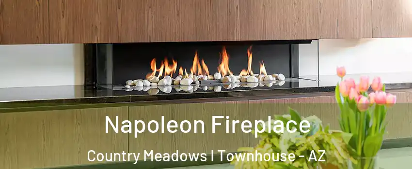 Napoleon Fireplace Country Meadows I Townhouse - AZ