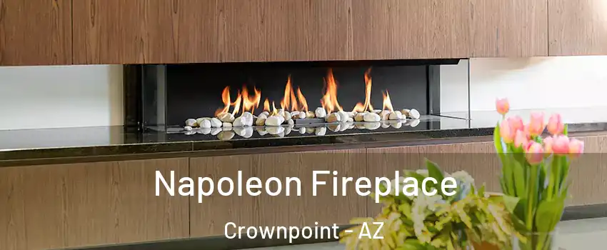 Napoleon Fireplace Crownpoint - AZ