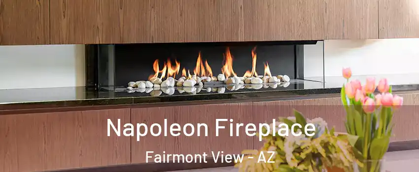 Napoleon Fireplace Fairmont View - AZ