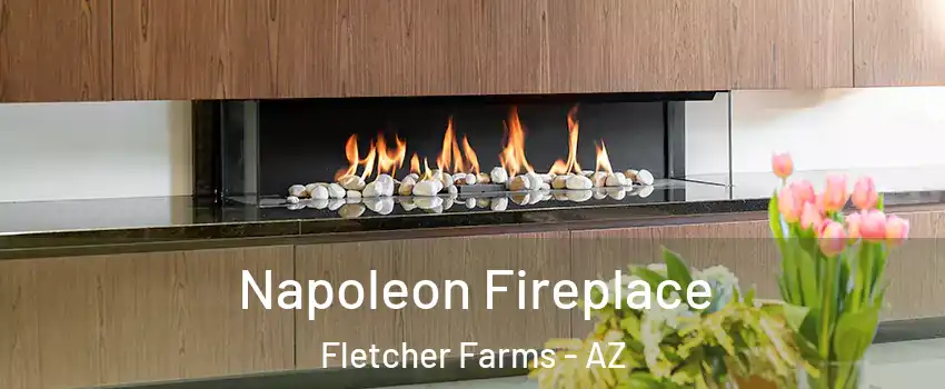 Napoleon Fireplace Fletcher Farms - AZ
