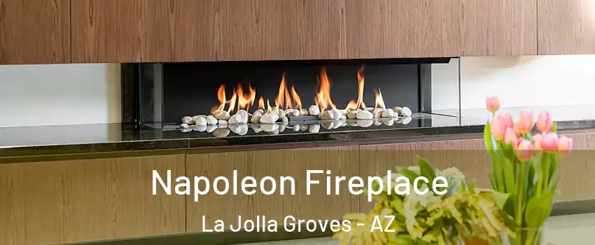 Napoleon Fireplace La Jolla Groves - AZ