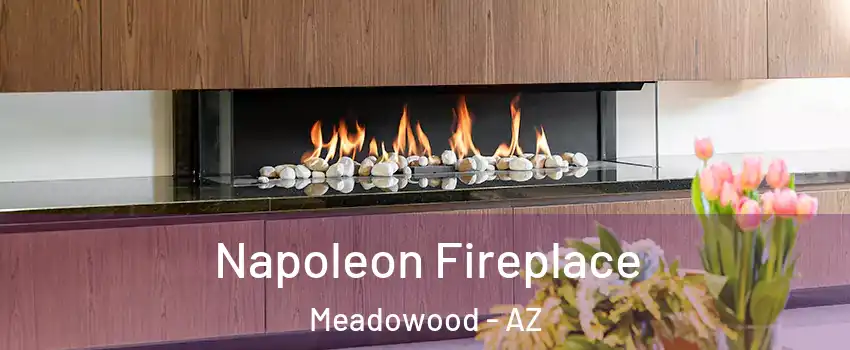 Napoleon Fireplace Meadowood - AZ