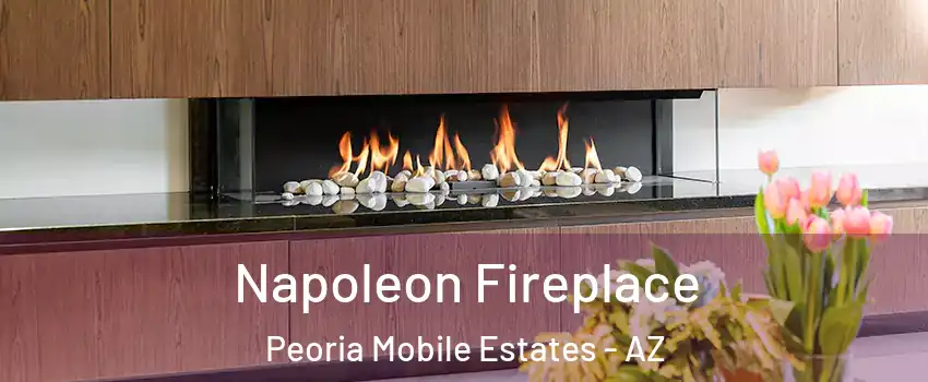 Napoleon Fireplace Peoria Mobile Estates - AZ