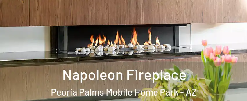 Napoleon Fireplace Peoria Palms Mobile Home Park - AZ