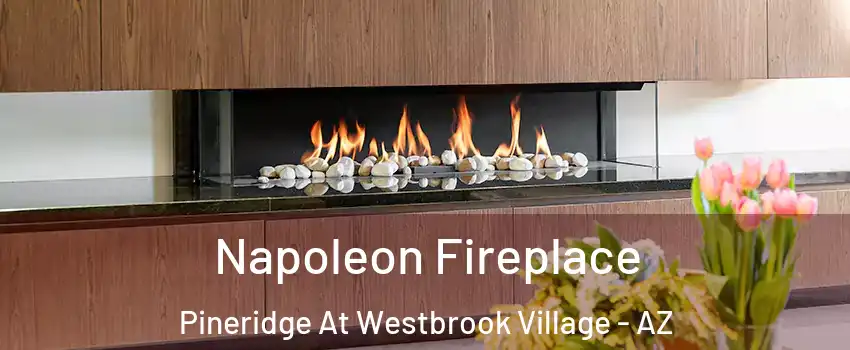 Napoleon Fireplace Pineridge At Westbrook Village - AZ