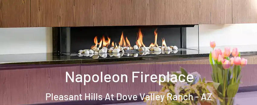 Napoleon Fireplace Pleasant Hills At Dove Valley Ranch - AZ