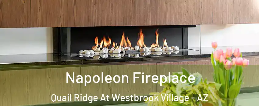 Napoleon Fireplace Quail Ridge At Westbrook Village - AZ