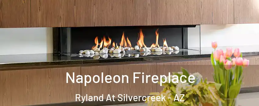 Napoleon Fireplace Ryland At Silvercreek - AZ
