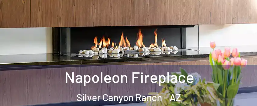 Napoleon Fireplace Silver Canyon Ranch - AZ