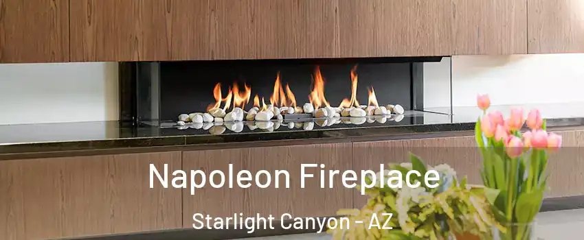Napoleon Fireplace Starlight Canyon - AZ