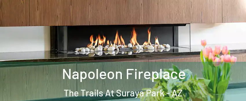 Napoleon Fireplace The Trails At Suraya Park - AZ