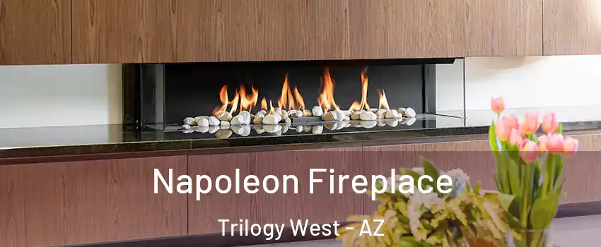 Napoleon Fireplace Trilogy West - AZ