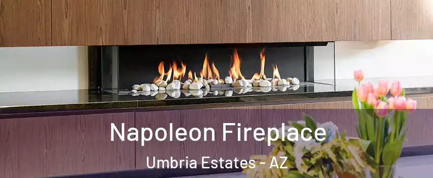 Napoleon Fireplace Umbria Estates - AZ