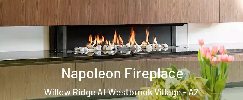 Napoleon Fireplace Willow Ridge At Westbrook Village - AZ