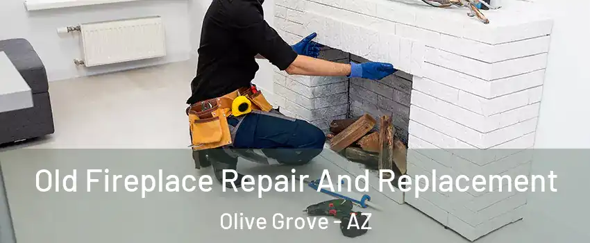 Old Fireplace Repair And Replacement Olive Grove - AZ