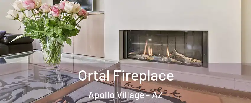 Ortal Fireplace Apollo Village - AZ