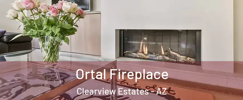 Ortal Fireplace Clearview Estates - AZ