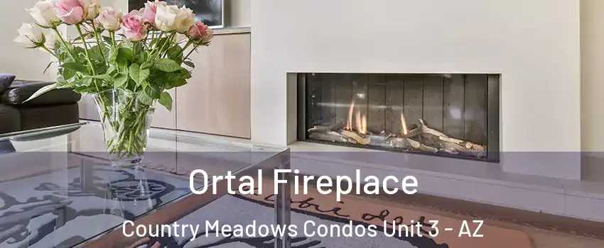 Ortal Fireplace Country Meadows Condos Unit 3 - AZ