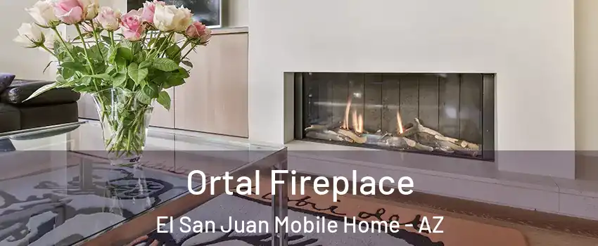 Ortal Fireplace El San Juan Mobile Home - AZ