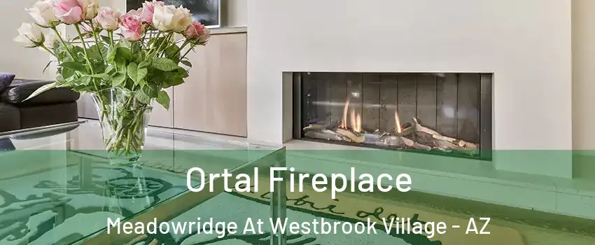 Ortal Fireplace Meadowridge At Westbrook Village - AZ