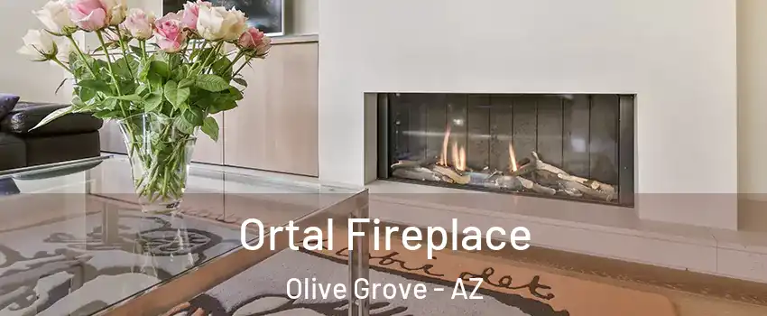 Ortal Fireplace Olive Grove - AZ
