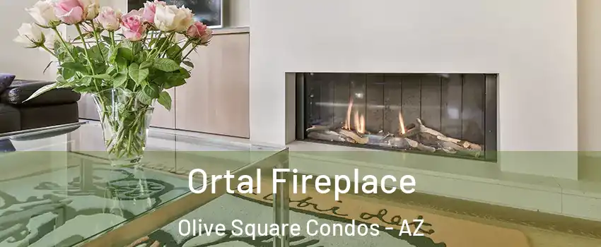 Ortal Fireplace Olive Square Condos - AZ
